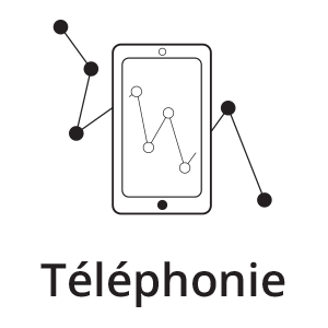 frp2i Téléphonie