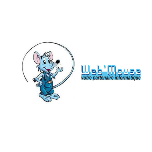 Web Mouse Informatique